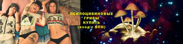экстази Гусиноозёрск