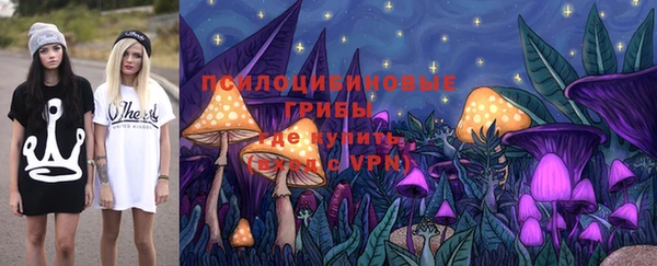 mdpv Гусев