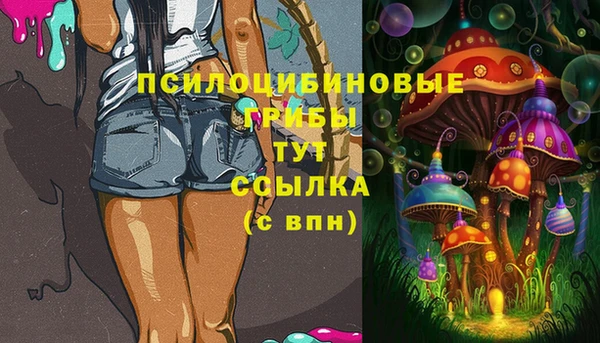 экстази Гусиноозёрск