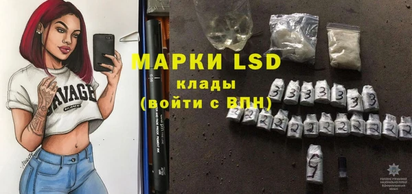 mdpv Гусев